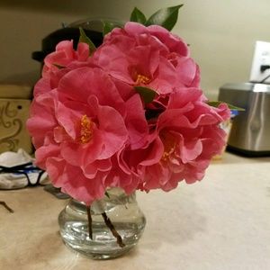 Meet your Posher, Darlene